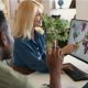 Two people discussing a world map displayed on a computer screen in an office setting